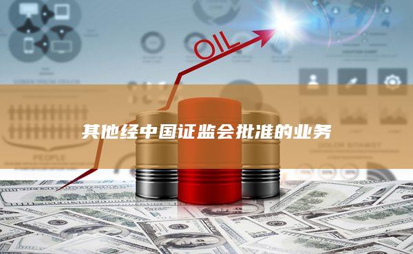 其他經(jīng)中國(guó)證監(jiān)會(huì)批準(zhǔn)的業(yè)務(wù)