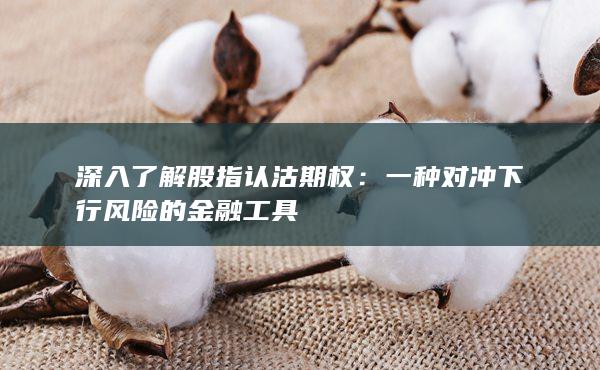 一種對沖下行風(fēng)險的金融工具