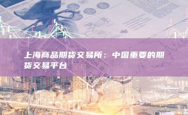 中國重要的期貨交易平臺