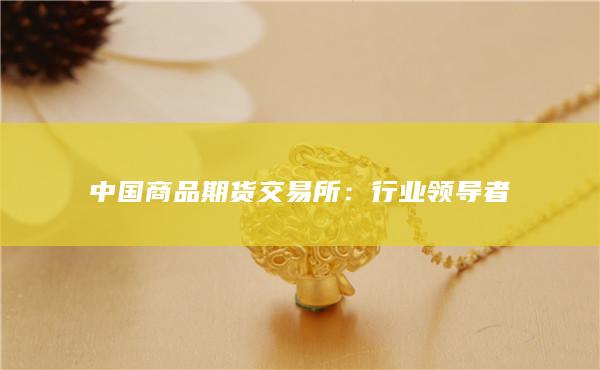 行業(yè)領(lǐng)導(dǎo)者