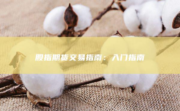 股指期貨交易指南