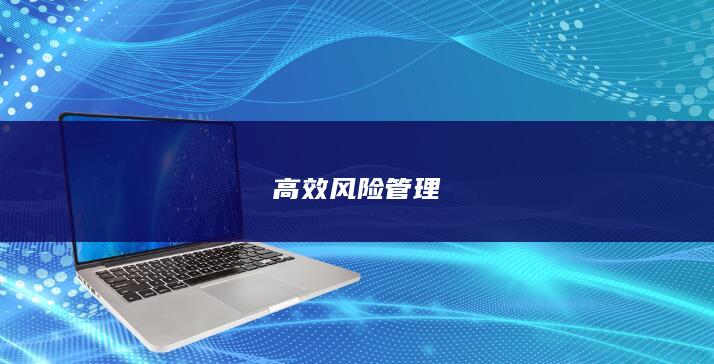 高效風(fēng)險管理