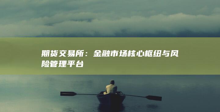 金融市場(chǎng)核心樞紐與風(fēng)險(xiǎn)管理平臺(tái)