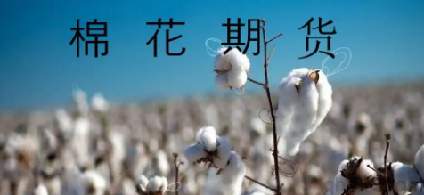 鄭商所征收棉花期貨2209和2211日內(nèi)平今手續(xù)費(fèi)(圖1) 鄭商所征收棉花期貨2209和2211日內(nèi)平今手續(xù)費(fèi)(圖1)